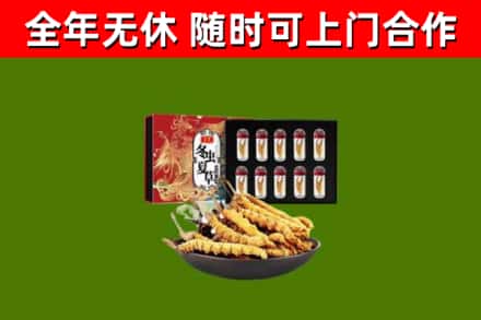 克拉玛依烟酒回收冬虫夏草礼盒.jpg
